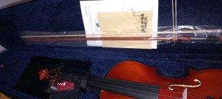 Violín Aileen Music 4/4 con funda y arco