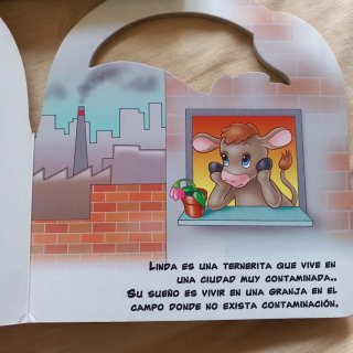 Lote 5 libros infantiles ilustrados (3-6 años)