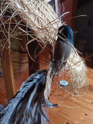 Pájaro Decorativo