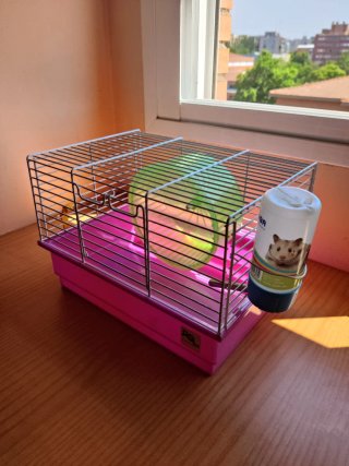 2 Jaulas para hámster con accesorios
