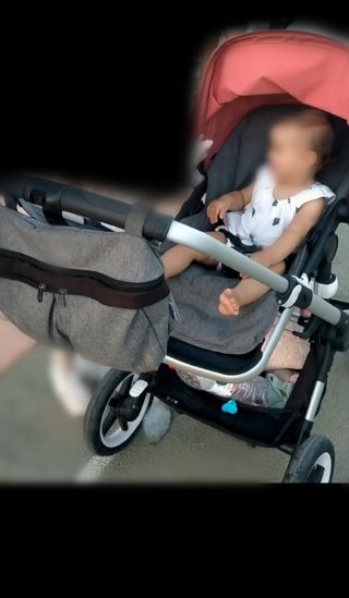 Bugaboo Fox