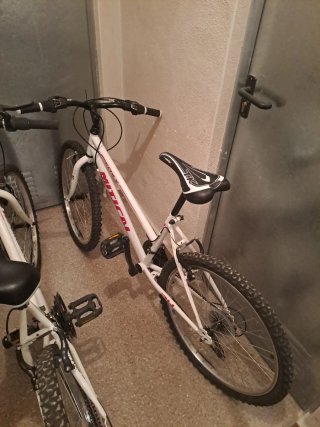 Bicicleta chica blanca