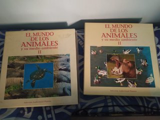Lote Películas Laser Disc Disney