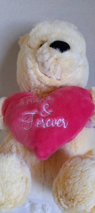 Peluche Winnie the Pooh Disney Originale