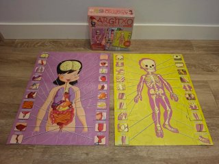Puzzle Cuerpo Humano 30 Piezas