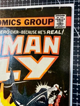 Comic USA The Human Fly #1 portada de Al Milgrom