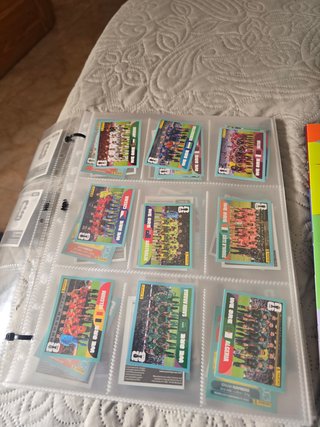Cromos Mundial Panini Torrevieja