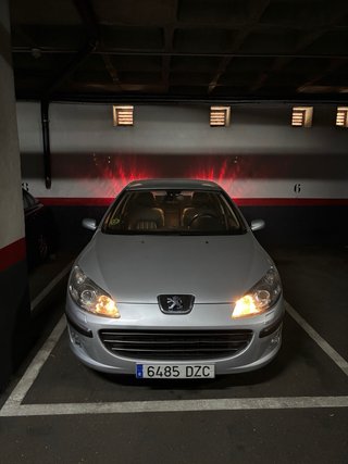 Peugeot 407