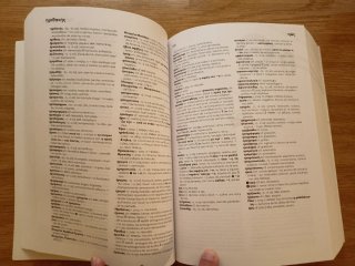 Diccionario griego español