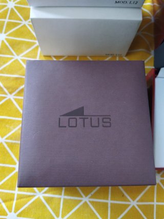 LOTE  5 CAJAS  LOTUS Y VICEROY 15 EUROS