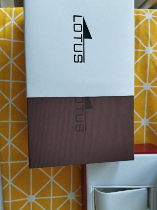 LOTE  5 CAJAS  LOTUS Y VICEROY 15 EUROS