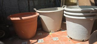 Maceteros de terracota y plástico 60€ las 5