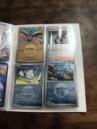 Lote Cartas Pokémon