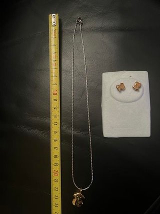 Colgante y pendientes oso oro y plata