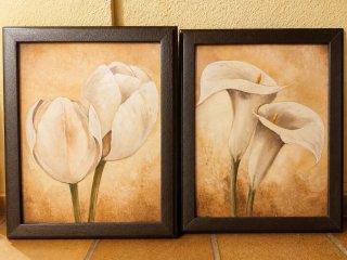 Set 2 Cuadros Flores Blancas Marrón
