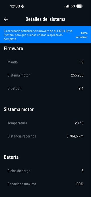 Bicicleta eléctrica Focus Paralane 2 ,9.7 talla XL