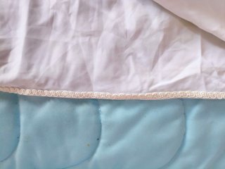 Mantón de Manila Pintado a Mano