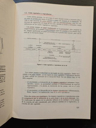 Manual de viticultura