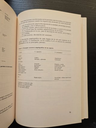 Manual de viticultura