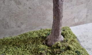 Diorama 1/30 Guerra