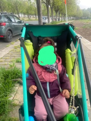 Carro remolque bicicleta infantil