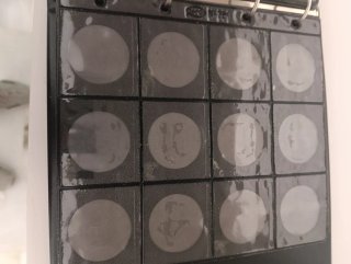 Álbum de Monedas Numysel Tapas Acolchadas