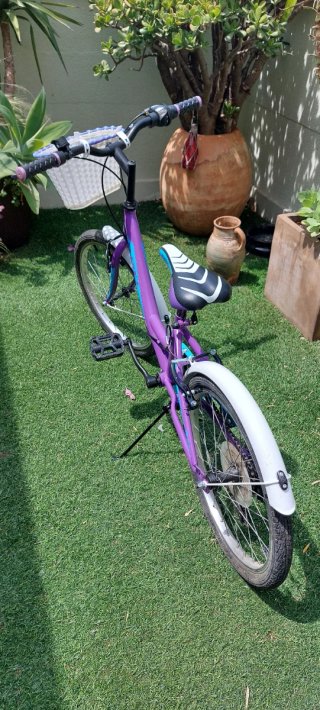 Bicicleta infantil 20 pulgadas