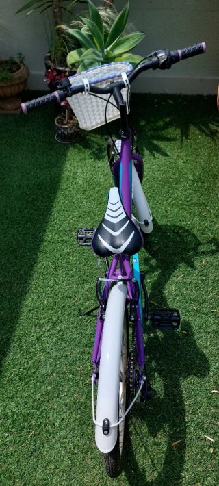 Bicicleta infantil 20 pulgadas