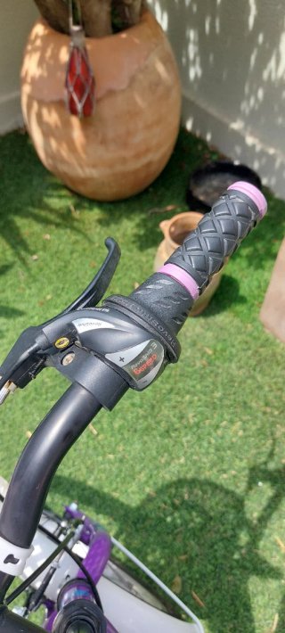 Bicicleta infantil 20 pulgadas