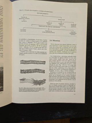 Arboricultura General