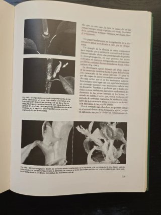 Arboricultura General