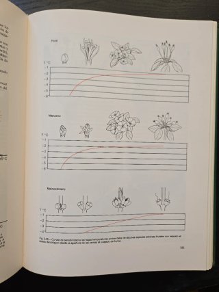 Arboricultura General