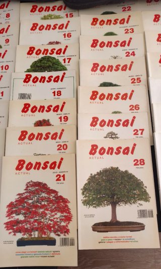 Revista Bonsai Actual
