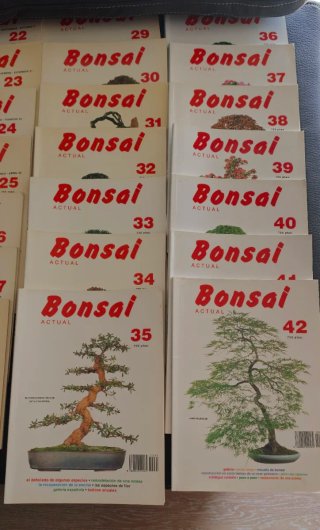 Revista Bonsai Actual