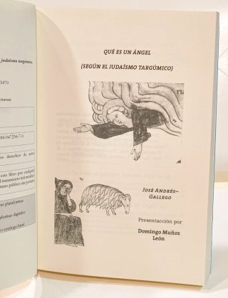 Libro Qué es un ángel José Andrés-Gallego