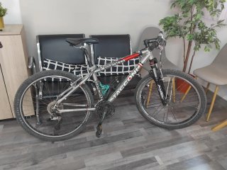 Bicicleta de montaña TEAM TFS