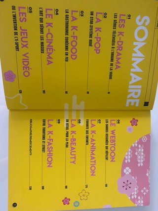 Libro K-Pop Culture (Francés)