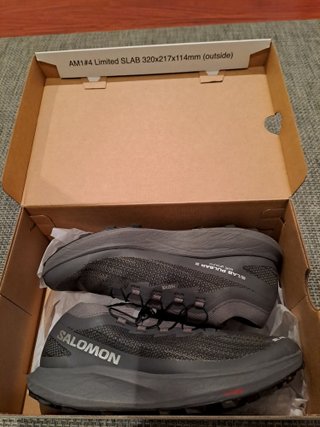 Zapatillas Salomon S/LAB Pulsar 2 SG Talla 43 1/3