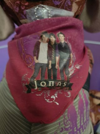 Peluche perro JONAS brothers con guitarra disney