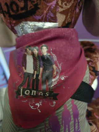 Peluche perro JONAS brothers con guitarra disney