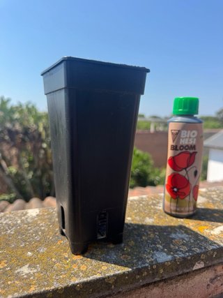 Lámpara LED Cultivo Niello M300