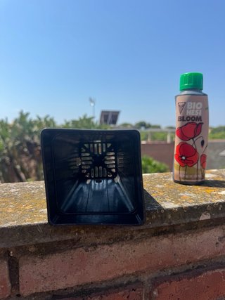 Lámpara LED Cultivo Niello M300