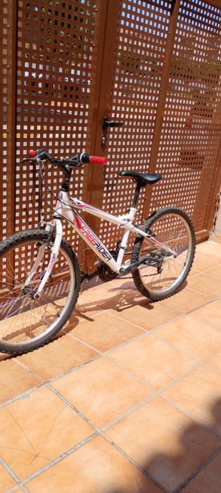 Bici de montaña Freerider con marchas