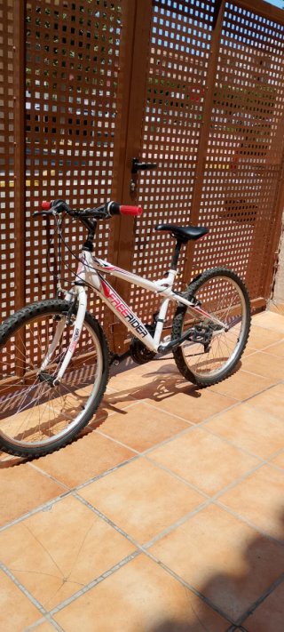 Bici de montaña Freerider con marchas