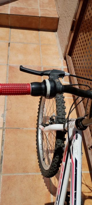 Bici de montaña Freerider con marchas