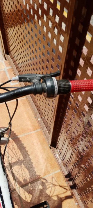 Bici de montaña Freerider con marchas