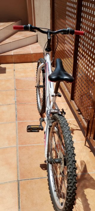 Bici de montaña Freerider con marchas