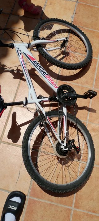 Bici de montaña Freerider con marchas