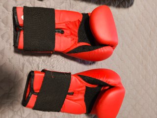 Espinilleras Kárate talla L y Guantes Boxeo