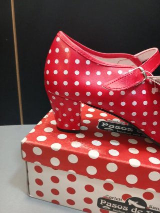 T 41 Zapatos de baile Pasos de Baile mujer